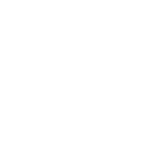 Paige Rallying Charge icon, default