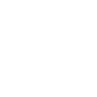Pocket Flying Cloak icon, default