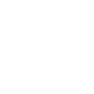 Warden Willpower icon, default