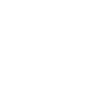 Warden Alchemical Flask icon, default