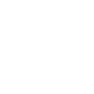 Warden Last Stand icon, default